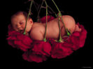 Filename=miracle13.jpg
Filesize=164KiB
Dimensions=1024x768
Date added=Oct 01, 2004 miracle13.jpg