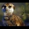 HEEEEELLLLLPPPPPPPPP!!!!!!!!! - last post by Duchess