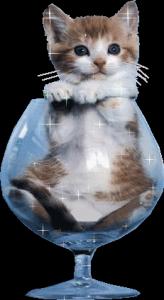 post-11462-1205054201_thumb.jpg