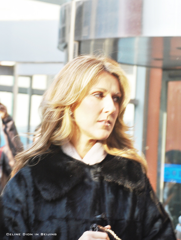 post-21-1208017340.jpg