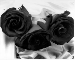 post-16492-1210439842_thumb.jpg