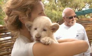 baby_lion.jpg