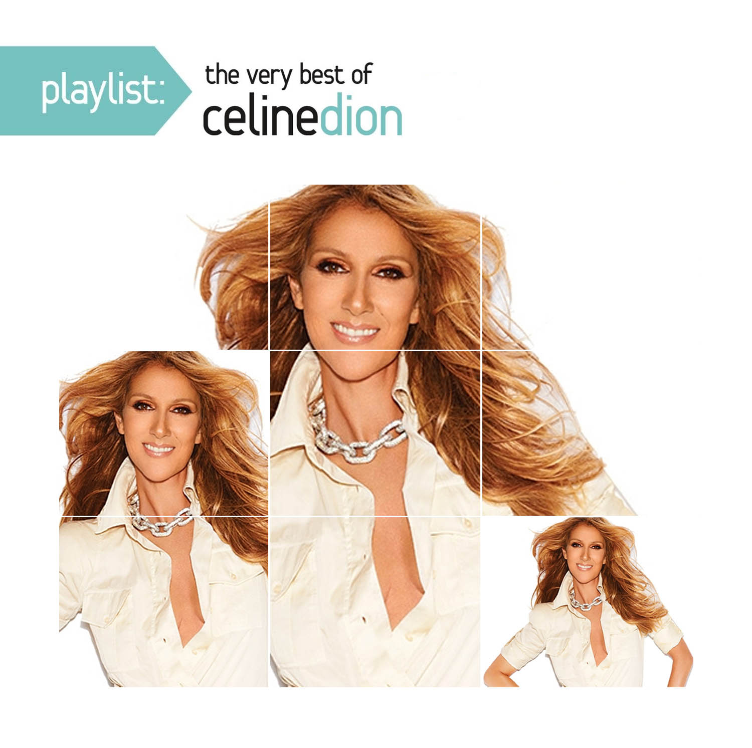 Playlist: The Very Best of Celine Dion - Page 6 - Celine Dion 