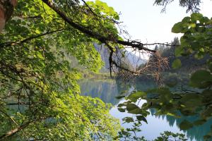 IMG_5437.JPG