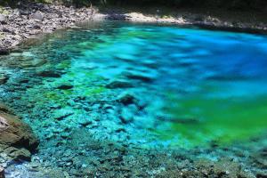 IMG_5584_1.jpg
