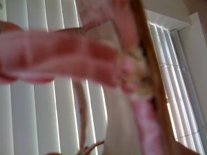 post-10370-1221863692_thumb.jpg