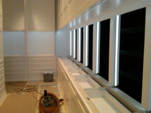 Celine-Dion-cabinet-lighting.jpg