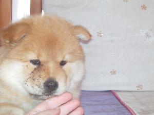 post-22542-1320077280_thumb.jpg