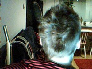 post-806-1322029155_thumb.jpg