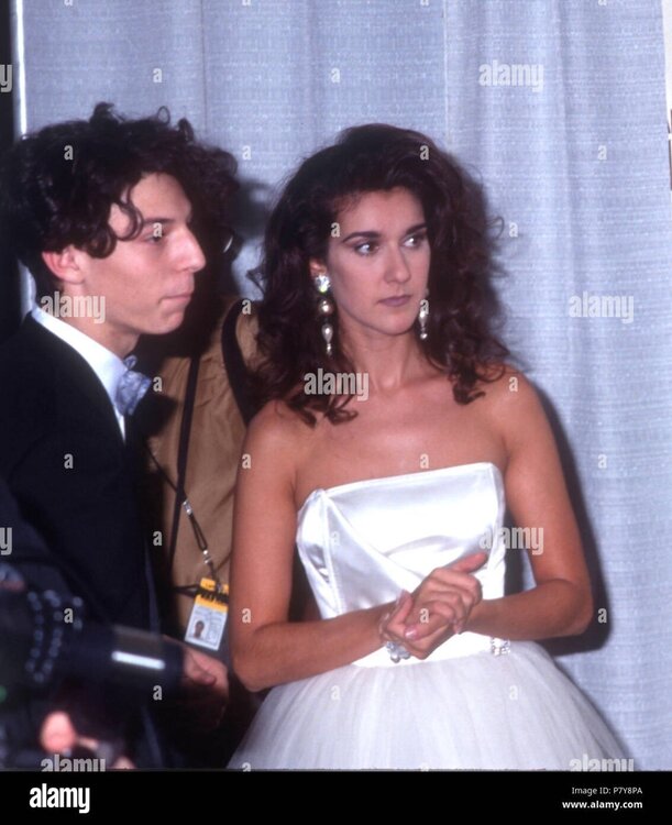 los-angeles-ca-january-27-singer-celine-dion-attends-the-19th-american-music-awards-on-january-27-1992-at-the-shrine-auditorium-in-los-angeles-california-photo-by-barry-kingalamy-stock-photo-P7Y8PA.jpg