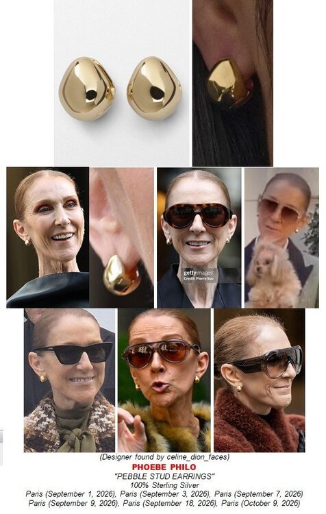 Phoebe Philo Pebble Stud - posted 2026-10-09.jpg