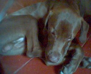 post-255-1150614739_thumb.jpg